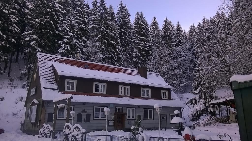 Waldpension Harzer Waldwinkel Bad Grund Extérieur photo