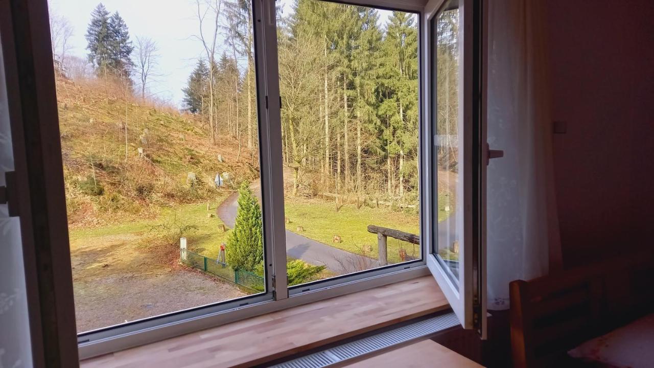 Waldpension Harzer Waldwinkel Bad Grund Extérieur photo