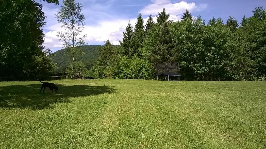 Waldpension Harzer Waldwinkel Bad Grund Extérieur photo